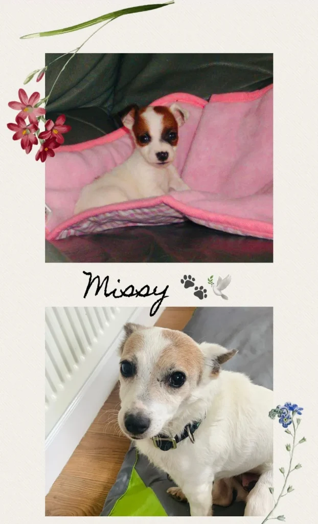 Missy