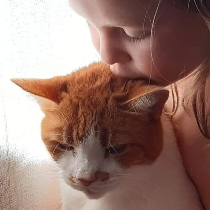 Donyo, The Ginger Cat